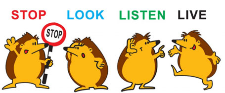 hedgehogs remind us to stop and look and listen and live