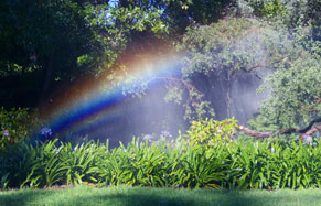 sprinkler rainbows