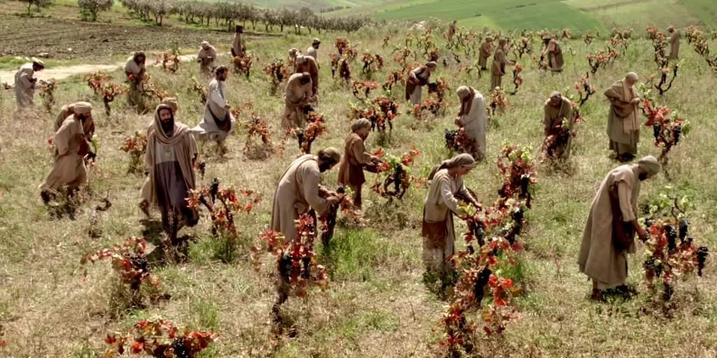 vineyard workers