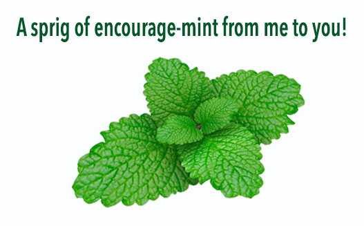 encourage-mint