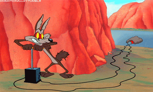 Wile E. Coyote and Roadrunner