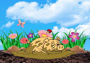 pig in mud puddle