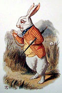 the White Rabbit