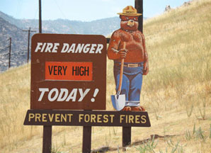 Smokey Bear